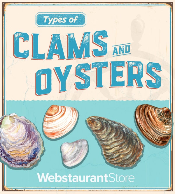 Types of Oysters & Clams The Differences Explained