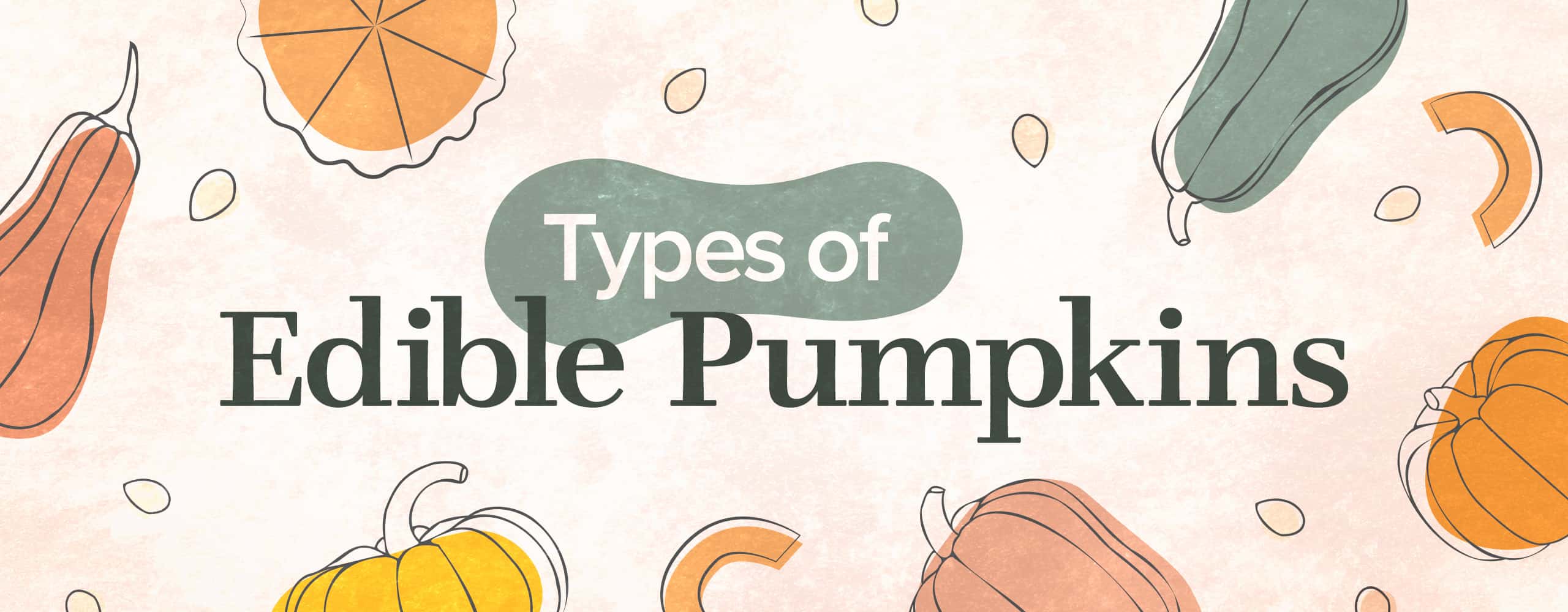 Types of  Edible Pumpkins