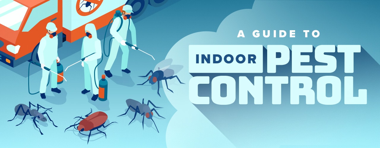 Restaurant Pest Control Tips How to Keep Pests Out