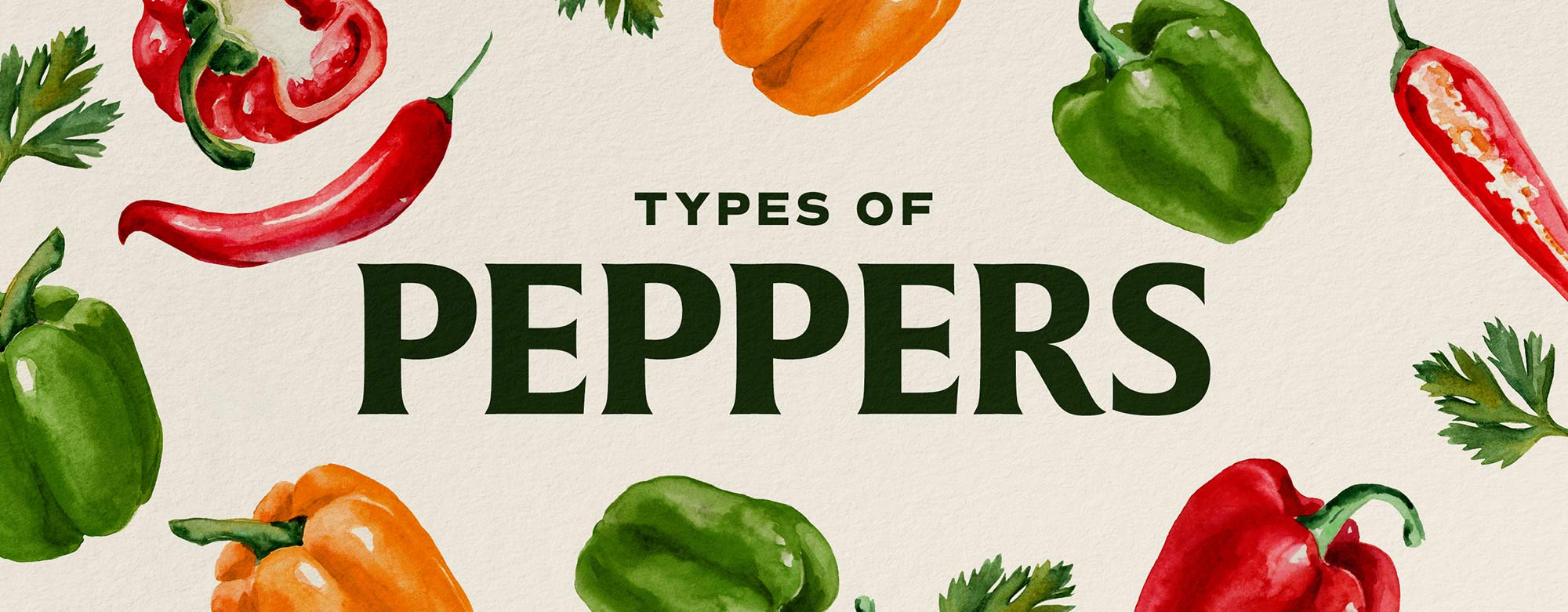 Types of Peppers 