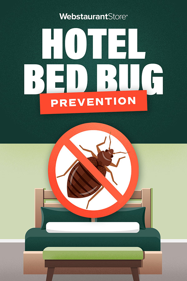 Bed Bugs in Hotels Prevention, Detection & Treatment