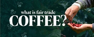 What Is Fair Trade Coffee? 