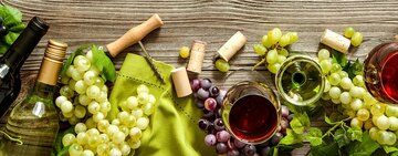 Wine Tasting Room Basics 