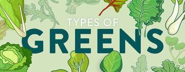 Different Types of Greens 