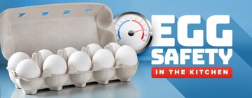 Egg Food Safety 