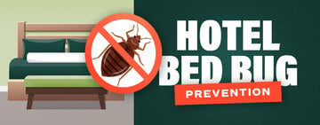How Hotels Can Help Prevent Bed Bugs
