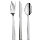 Delco Brayleen by 1880 Hospitality Flatware 18/0
