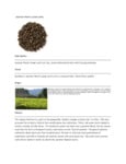 110DTLJSMPRL TEA LOOSE JASMINE PEARLS 1 LB. DAVIDSON'S.pdf