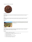 110DTLSPRGFF TEA LOOSE SPRING FRUIT & FLOWERS 1 LB. DAVIDSON'S.pdf