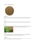 110DTLTLEAVE TEA LOOSE TULSI PURE LEAVES 1 LB. DAVIDSON'S.pdf