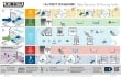 425LXNCB3_LXn Series Dishwasher Daily Operation Cleaning Guide Wall Chart F54079 (05-26).pdf