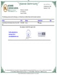art6-ns-kosher_certificate_083124.pdf