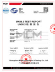 91011081 Test Report.pdf