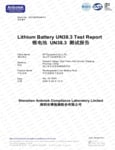 LI Battery Test Report