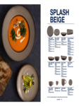 Ariane Fine Porcelain Splash Beige Brochure Ariane Fine Porcelain Splash Beige Brochure