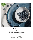 FOH Artefact Indigo Brochure