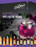 DaVinci Gourmet Fruit Innovation Brochure