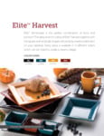 Elite Stoneware by International Tableware