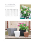 ella planters