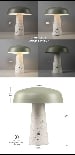 green lamp_brochure