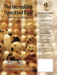 Manchester Farms Quail Egg Flyer