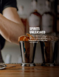 Mercer Barfly Spirits Unleashed Catalog Pages