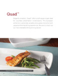 Quad Stoneware by International Tableware
