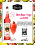 Strawberry Ginger Lemonade Sell Sheet Strawberry Ginger Lemonade Sell Sheet