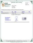 CP-9-Kosher Certificate 083124.pdf