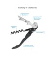 Anatomy of a Corkscrew