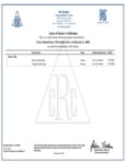Kosher Certification-711CGB10200