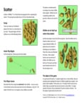 Scatter Instruction Booklet