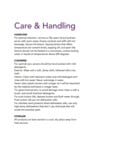 Service Ideas Care and Handling Service Ideas Care and Handling