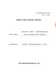 16624_BALLYPAL-45M-TD - SDS MSDS.pdf