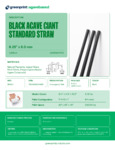 greenprint Black Agave Giant Standard Straw Specsheet