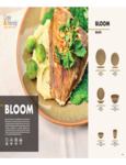 Bloom Olive Spec (1).pdf Bloom Olive Spec (1).pdf