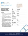 CABANA-BG.pdf