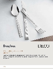 Delco Brayleen Spec.pdf