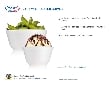 J Cup insulated bowls