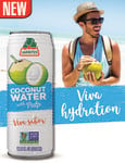 Jarritos Coconut Water Sales Sheet 2021