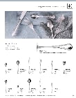 WNK Leopardi Spec.pdf WNK Leopardi Spec.pdf