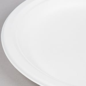 Terrahue 9 inch Round Plate, Biodegradable, Compostable, Sugarcane Bag