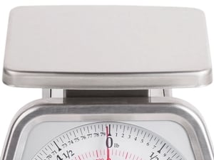 Taylor TS50 50 lb Analog Portion Control Scale