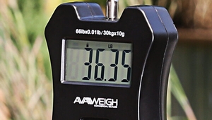 AvaWeigh HSD65 66 lb. Digital Hanging Scale