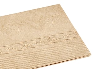 Hand Book Paper Co. Pastel Premier Conservation Panel - 9 inch x 12 inch, Buff, Pkg of 2, Beige