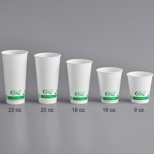 EcoChoice 9, 12, 16, 20, 22 oz. Translucent Compostable PLA Paper Cold Cup  Flat Lid with