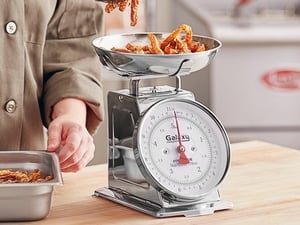 Galaxy 2 lb. Mechanical Portion Control Scale with Removable Stainless  Steel Bowl