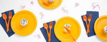 Disposable Dinnerware Buying Guide