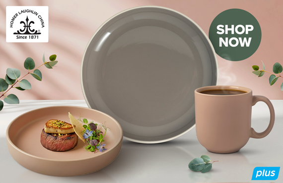 Shop Fully Vitrified Dinnerware from Steelite - NO CODE NEEDED