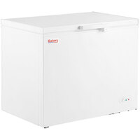 Galaxy CF10HC Commercial Chest Freezer - 9.6 cu. ft.